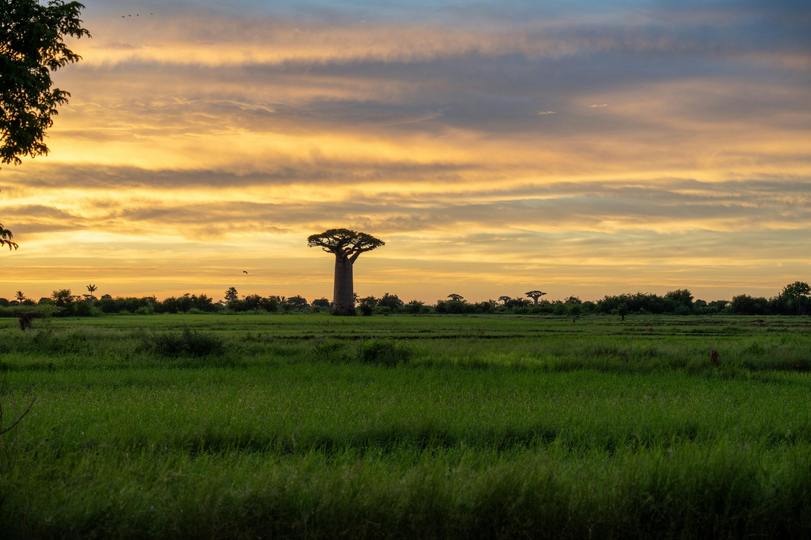 Paysage Madagascar